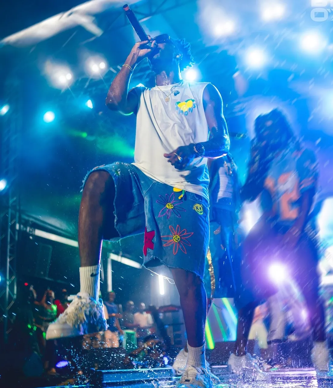 Artiste de dos face au public, fumee de scene